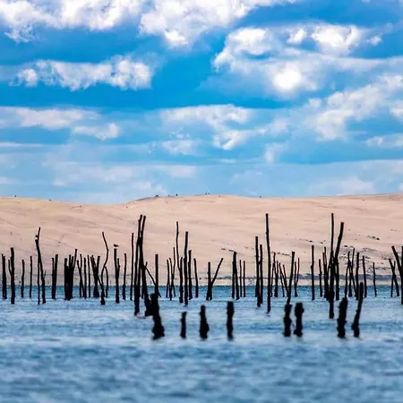 Joli Coeur De - Proche Dune Du Pilat *